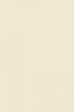 FARROW AND BALL NEW WHITE NO. 59 PAINT